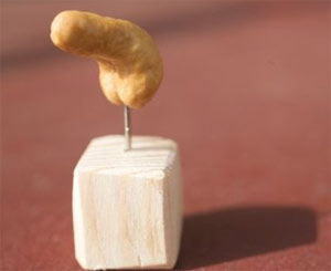 cashewart08.jpg