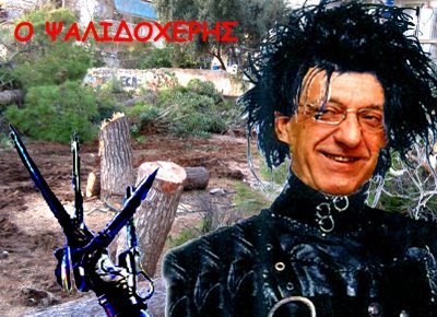 psalidoxeris[1].jpg