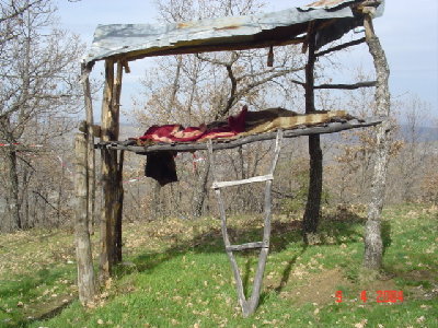 DSC01484.JPG