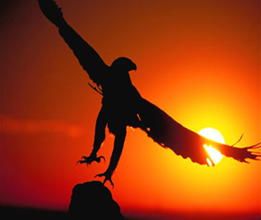 53744-golden-eagle.jpg