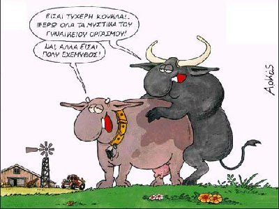 arkas03.jpg