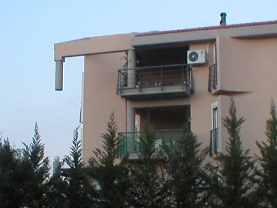p1010077dc5.jpg