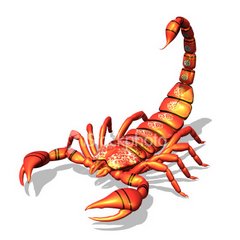 red-scorpion.jpg