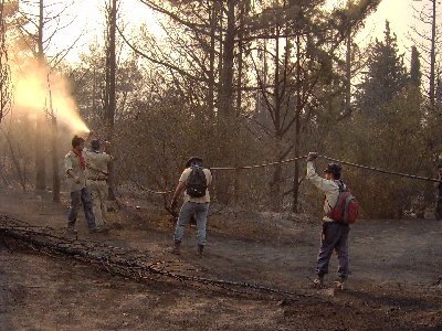 diaf 074.jpg
