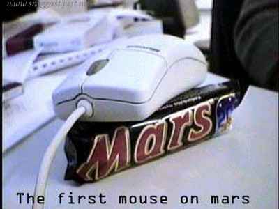 First mouse on mars.jpg