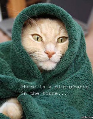 Funny_Pictures_2779[1].jpg