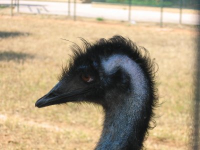 4.JPG