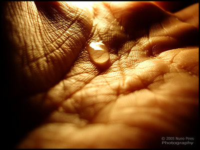 teardrop_skin_by_Nuninh0.jpg