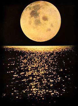 full_moon.jpg