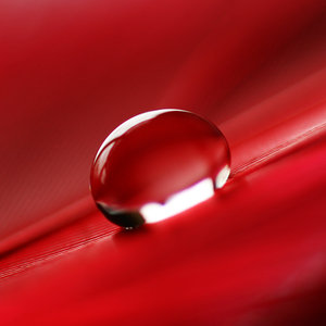 red_drop_by_girlmarvel.jpg