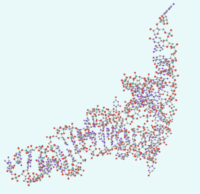 Phenylalanine_tRNA.jpg
