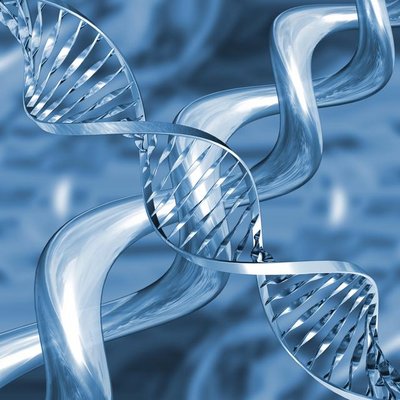 dna.jpg
