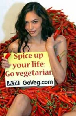 peta.jpg