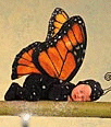 sdkidse11b.gif