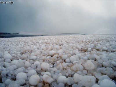 Hailstorm-Arab_06.jpg