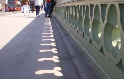 377087381.jpg