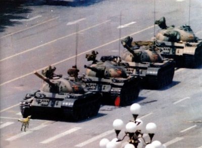 riot dog against tyranny.jpg