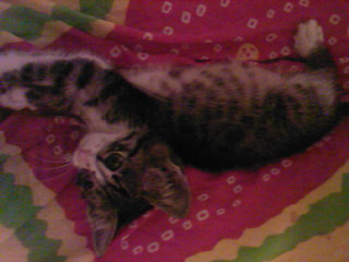 gati 009.jpg
