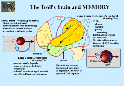 Troll_s_Brain_and_memory.gif