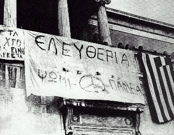 06_polytx.jpg