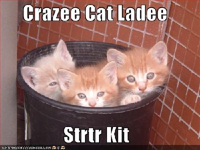 funny-pictures-crazy-cat-lady-starter-kit.jpg
