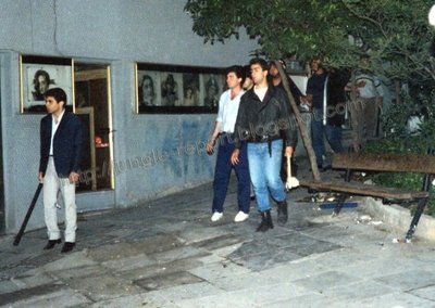 343096_voridis-1.jpg