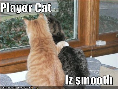 funny-pictures-player-cat-is-smooth.jpg