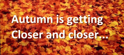 autumn2012banner.gif