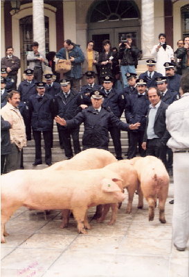 mpatsoi_gourounia.jpg