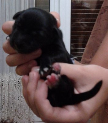 2012-09-28 21.25.43.jpg