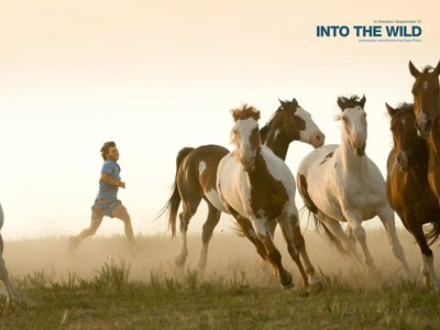 into-the-wild-horses-731087.jpg
